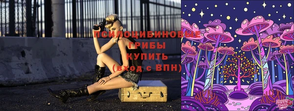 мяу мяу мука Баксан