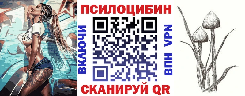 Галлюциногенные грибы Psilocybe  Унеча 
