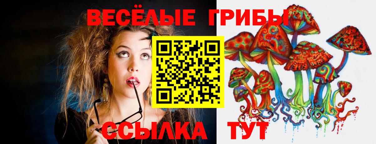 Галлюциногенные грибы ЛСД Унеча