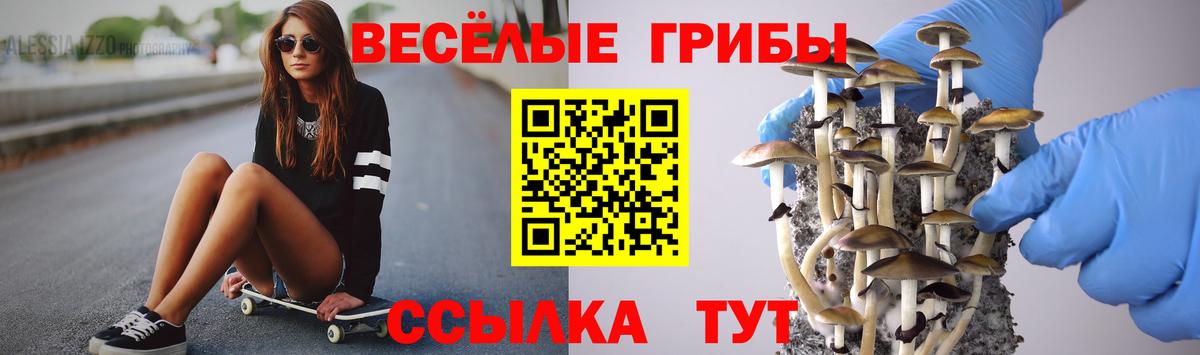 как найти   Псилоцибиновые грибы Magic Shrooms  Вход с VPN  Унеча 